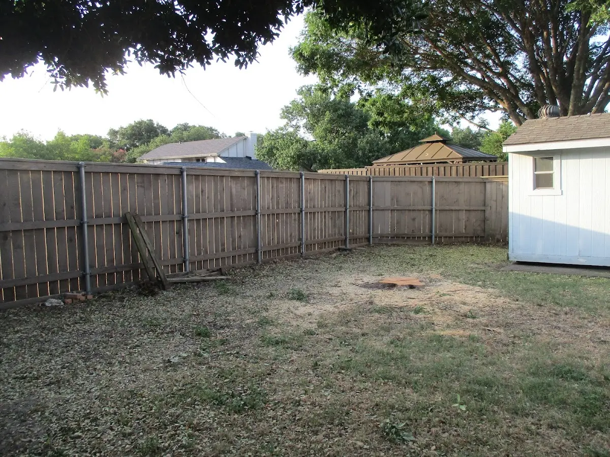 Cleared yard after professional tree removal in Rockland