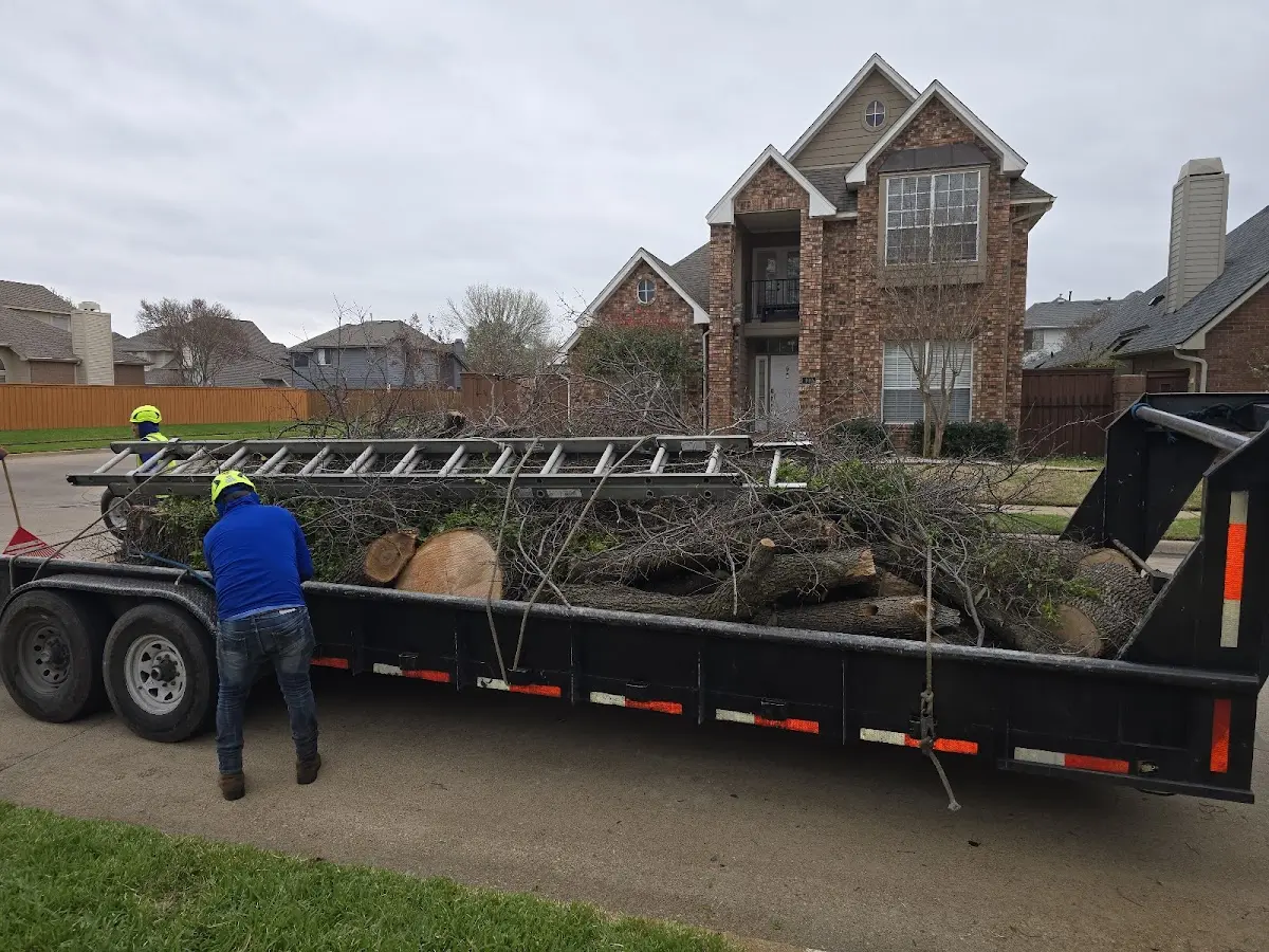 Expert Lot Clearing with proper safety equipment in Rockland